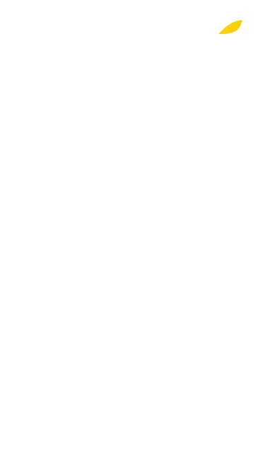 spot_img